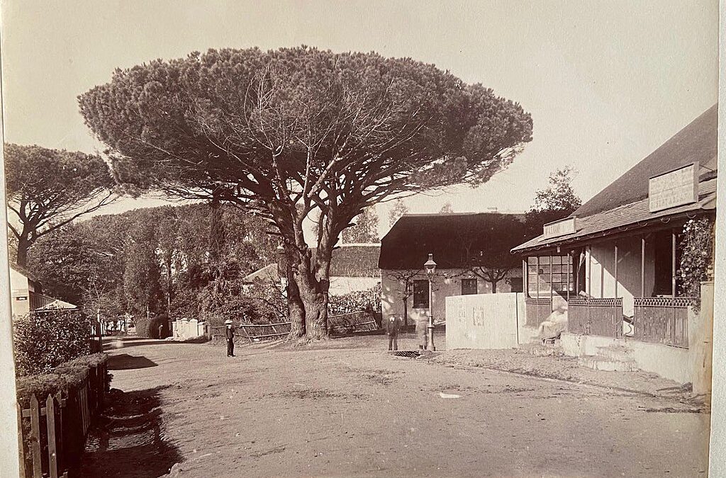 The rustic peaceful ambience of Wynberg in Cape Town was brutalised in the 1940’s by Salie Lingevelt, a serial killer who randomly bludgeoned women to death in their homes (Public Domain)